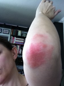 Michelle Pippin Johnson